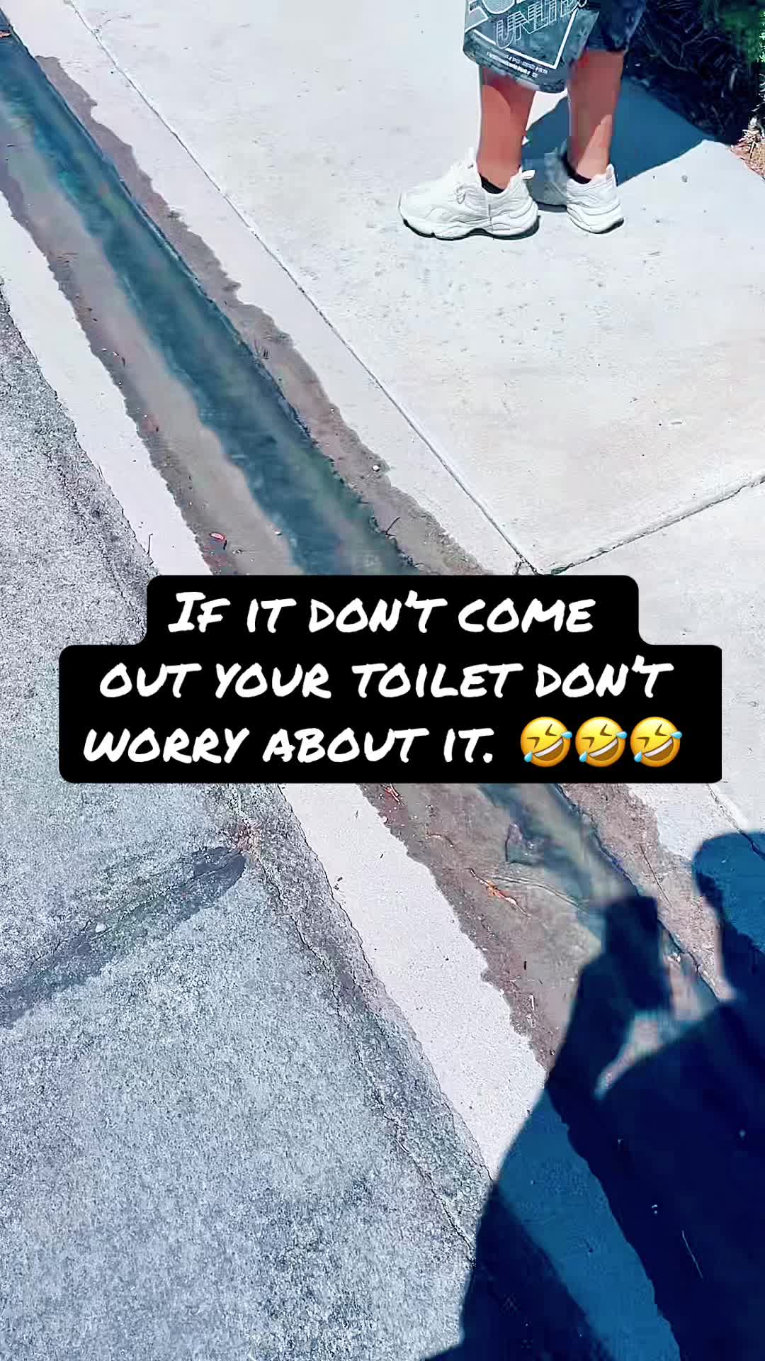 @SOTIA_SOLID1