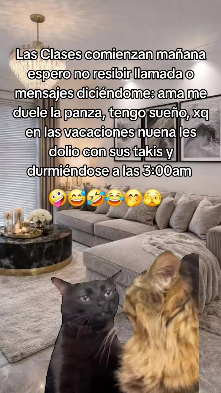 @✨️🫀la Güera🕊🍓