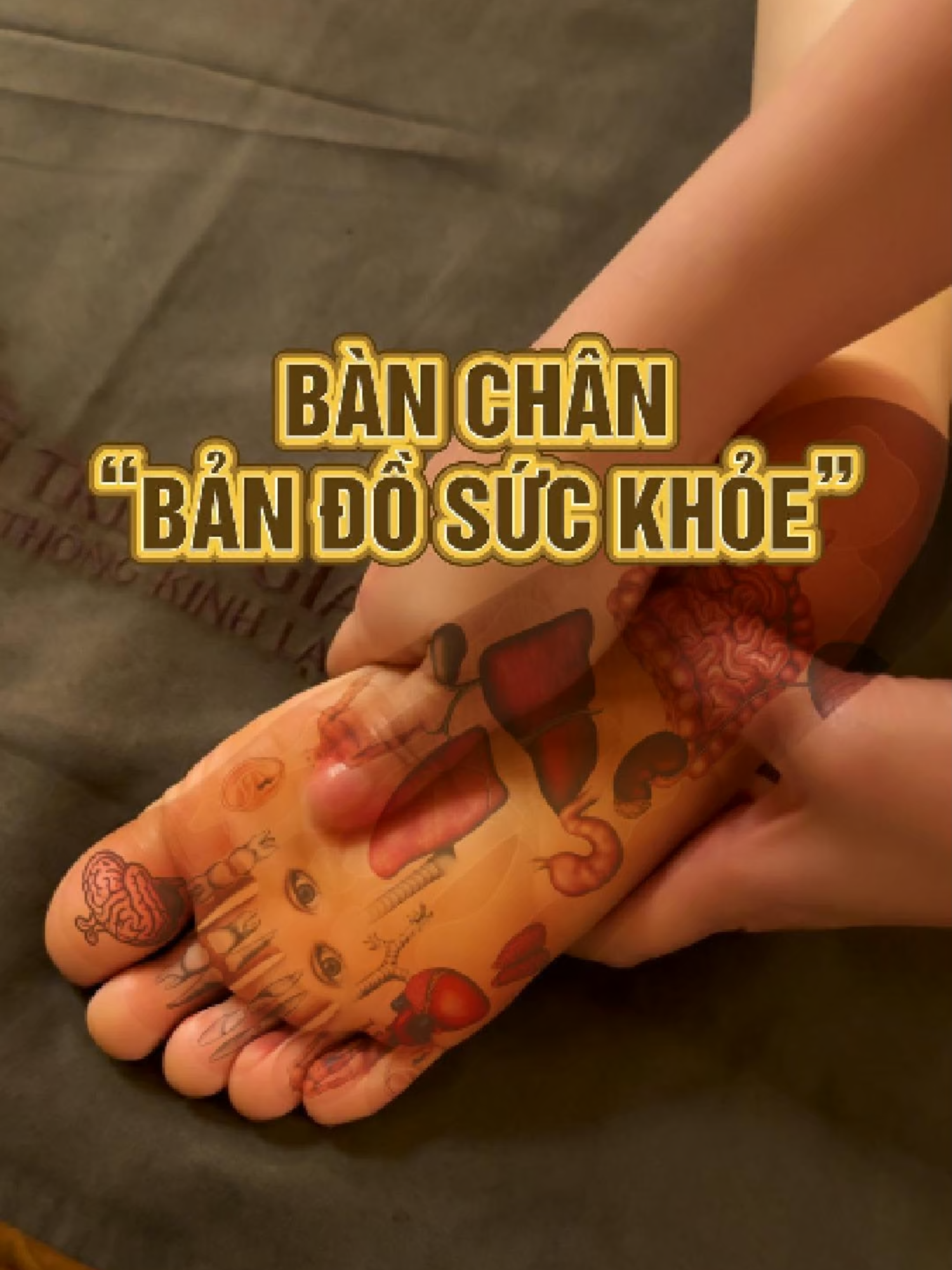 @Triều Gia Y Dưỡng