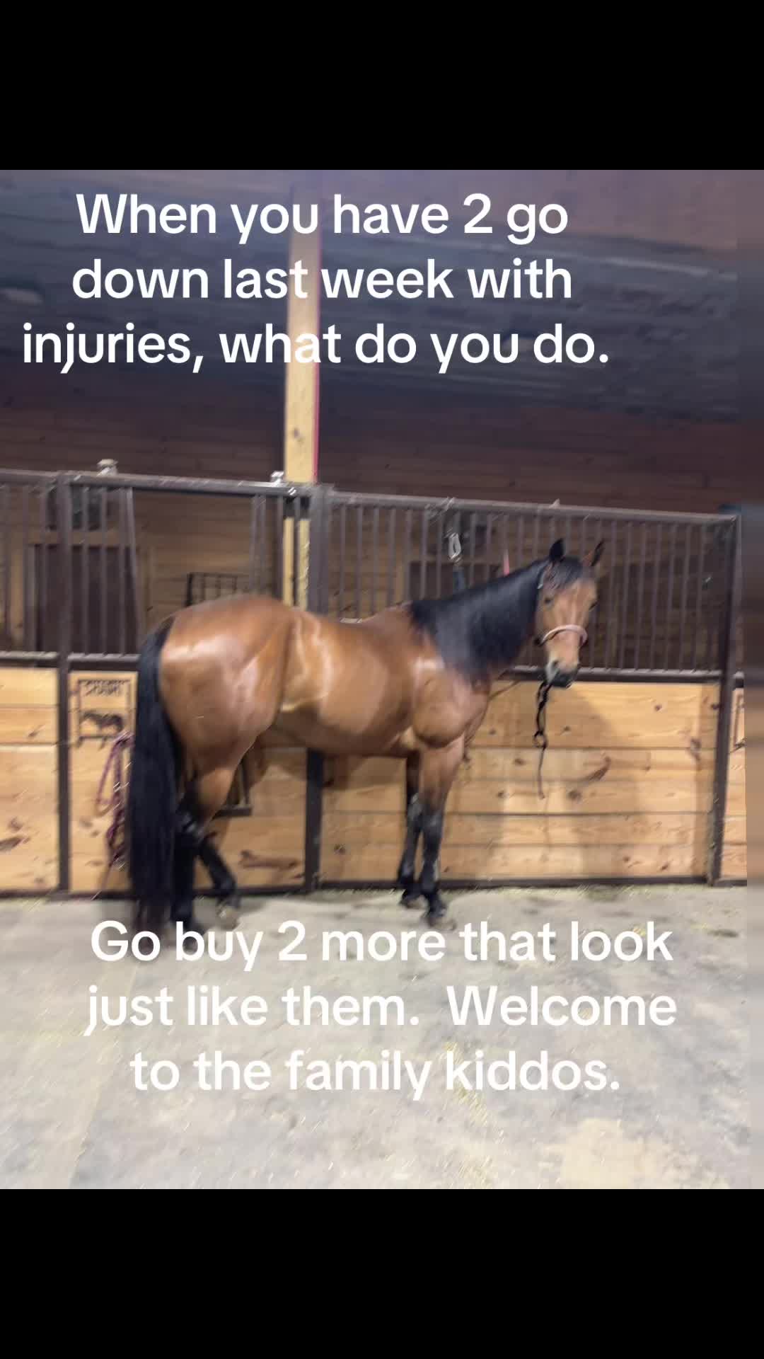 @Barrel racing dad