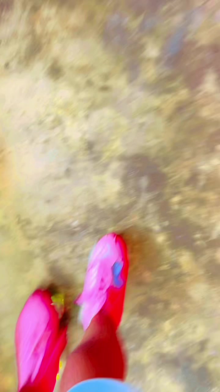 @Roller skate 🛼