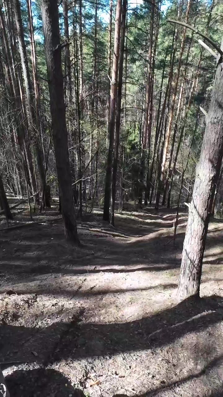 @Progasi zvezdny