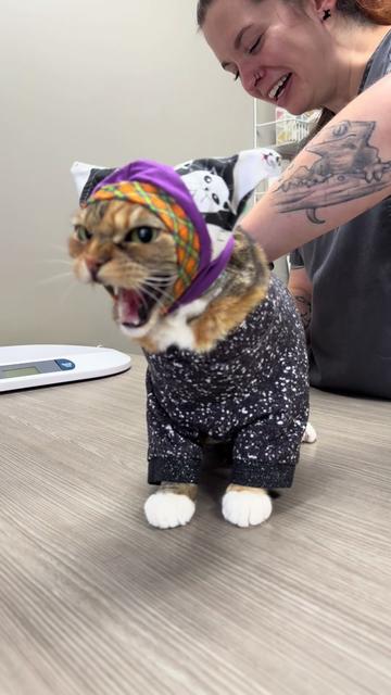 @tattooed_catlady🖤