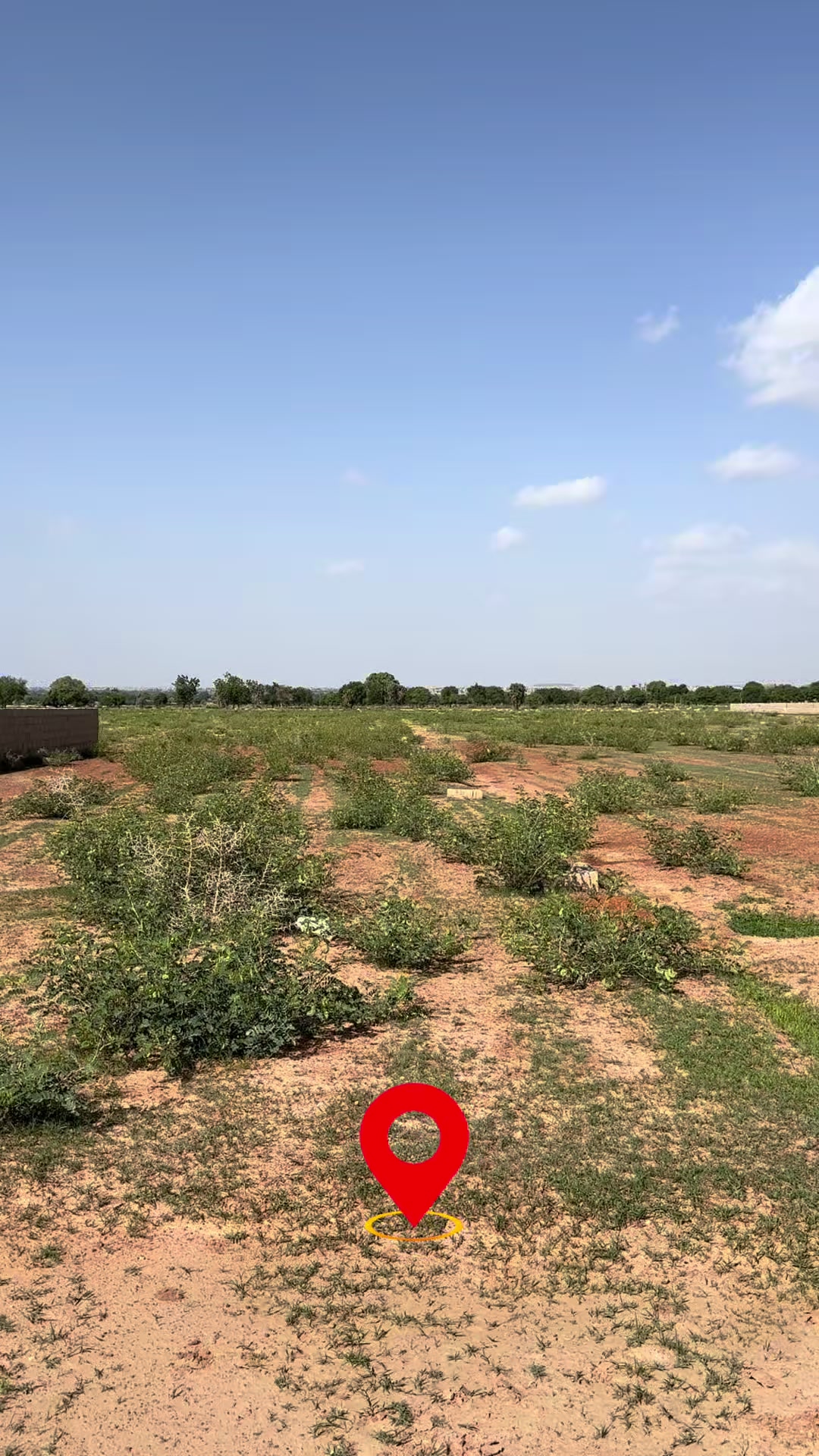 @R.N.C_REAL_ESTATE 07089265516