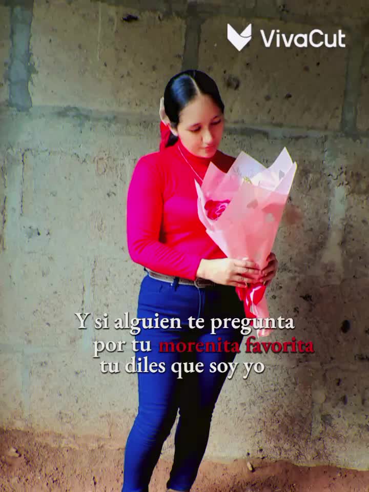 @fan de taylaa