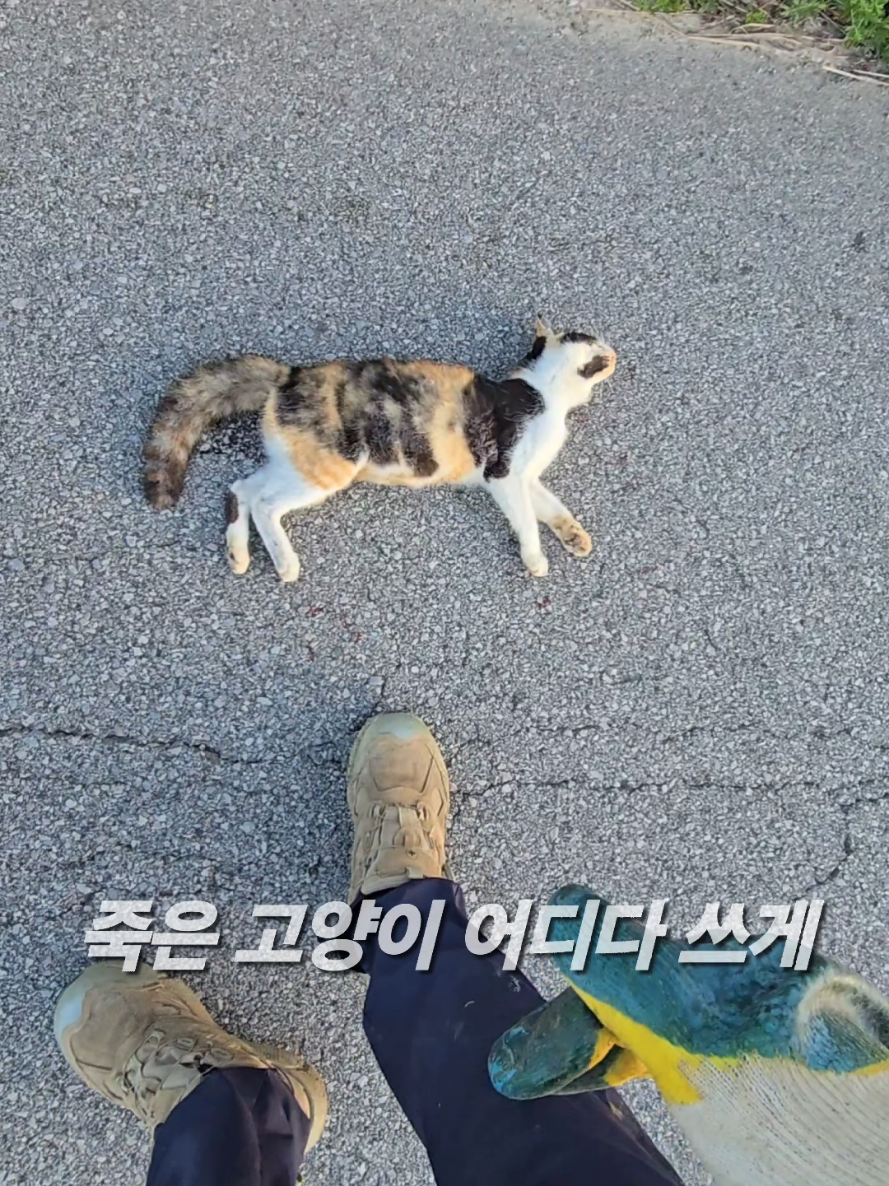 @유튜브 윤파머 납작복숭아