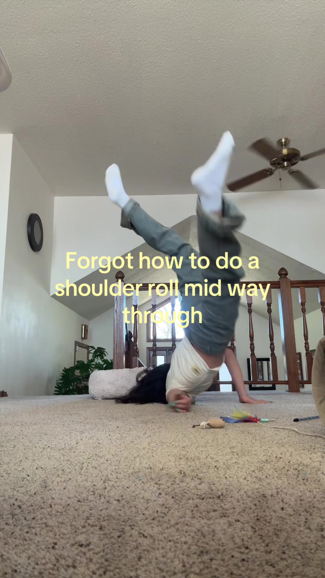 @Kitten
