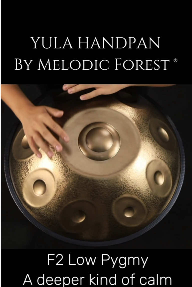 @Melodic Forest