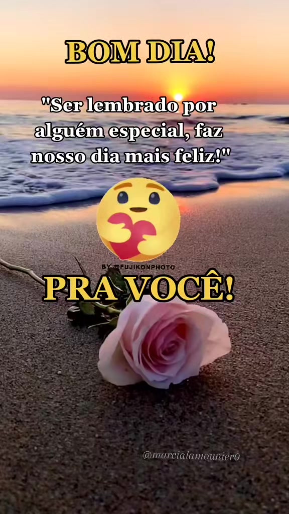 @Marcia Lamounier