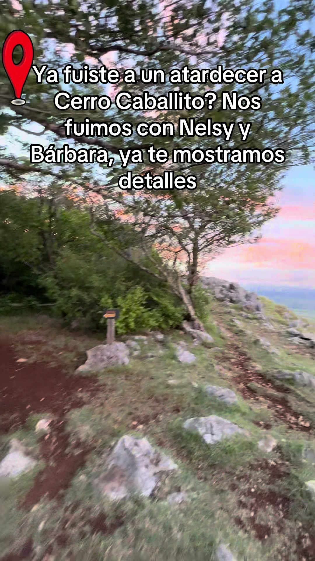 @Oxigenia Buseta Costa Rica