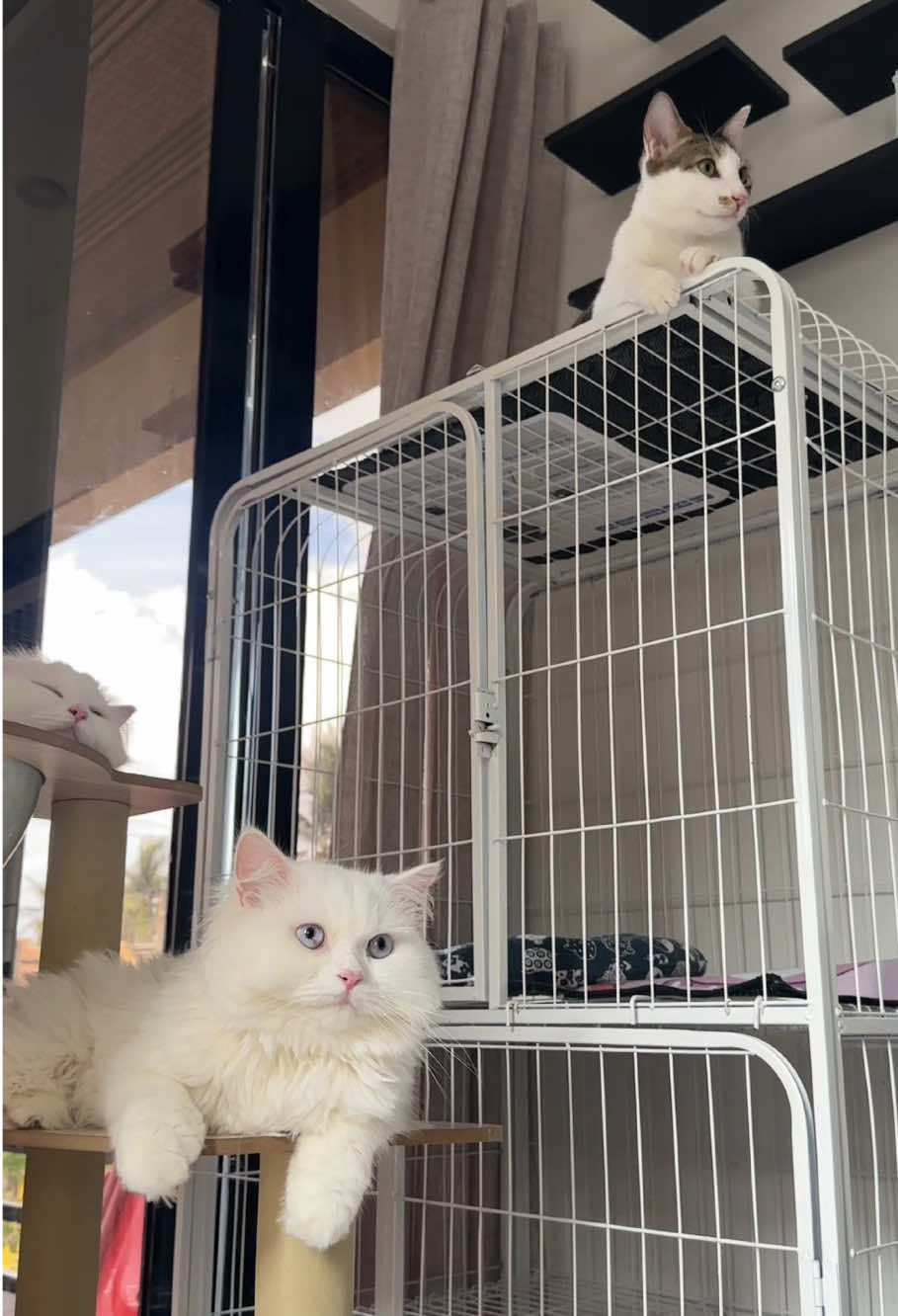 @Chloe & Casper 🐾