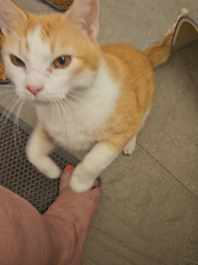 @UtahCatTrapper