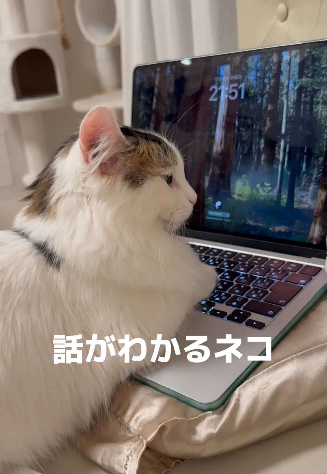 @もっちぬ