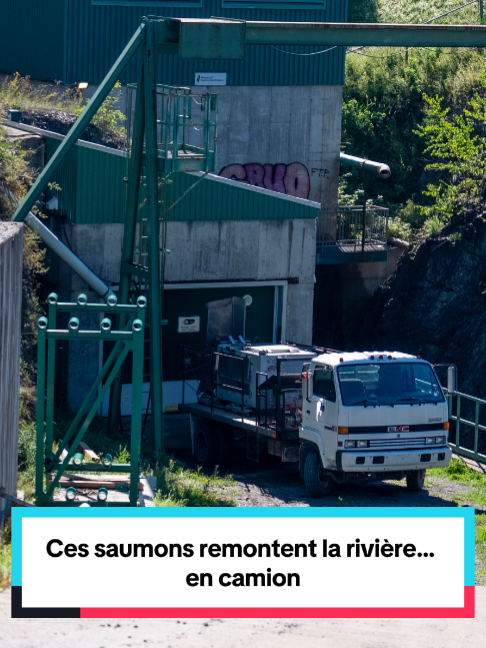 @Radio-Can au Bas-Saint-Laurent