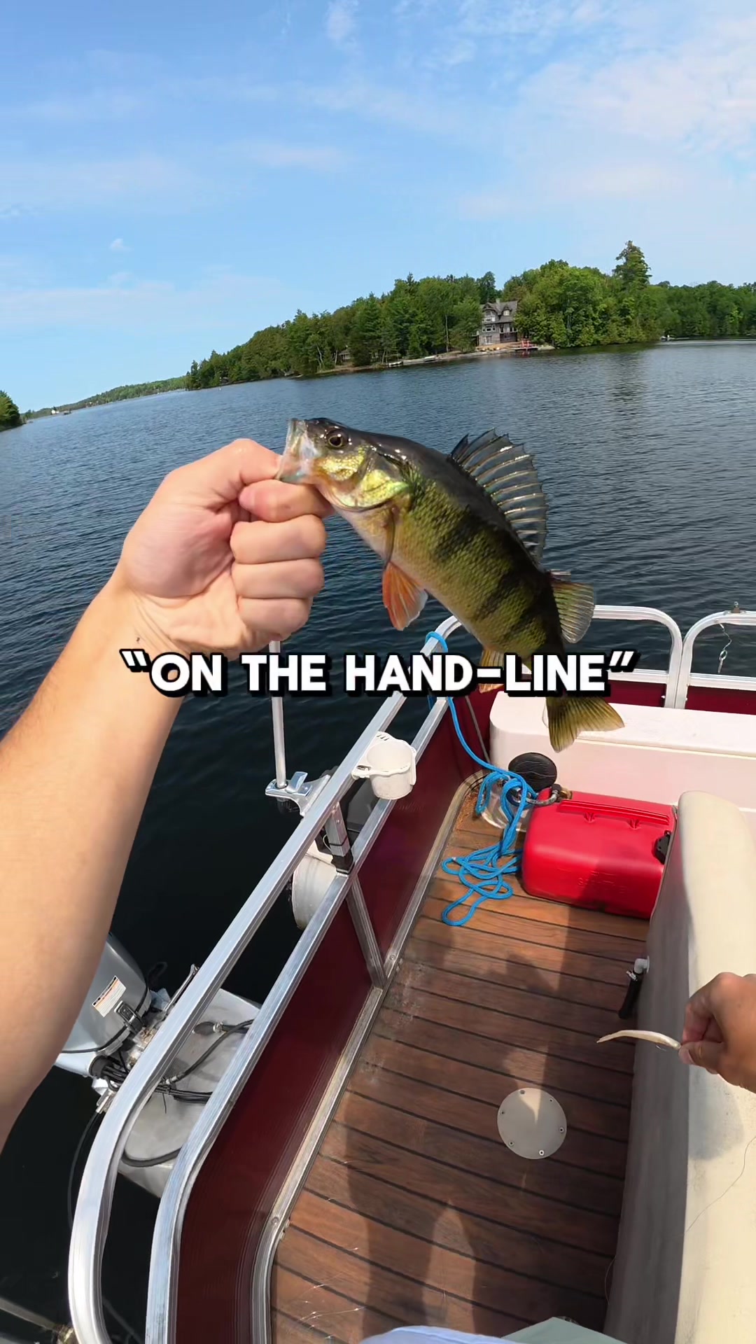 @JlangFishing