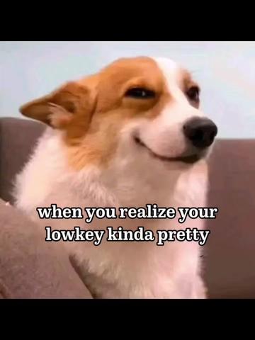 @just_peppy