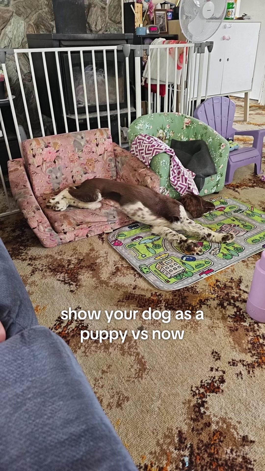 @Kim & Alfie&rsquo;s world