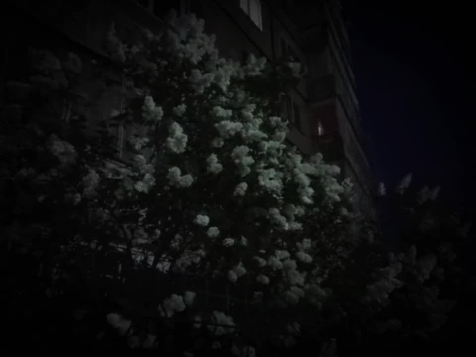 @Музыка для души