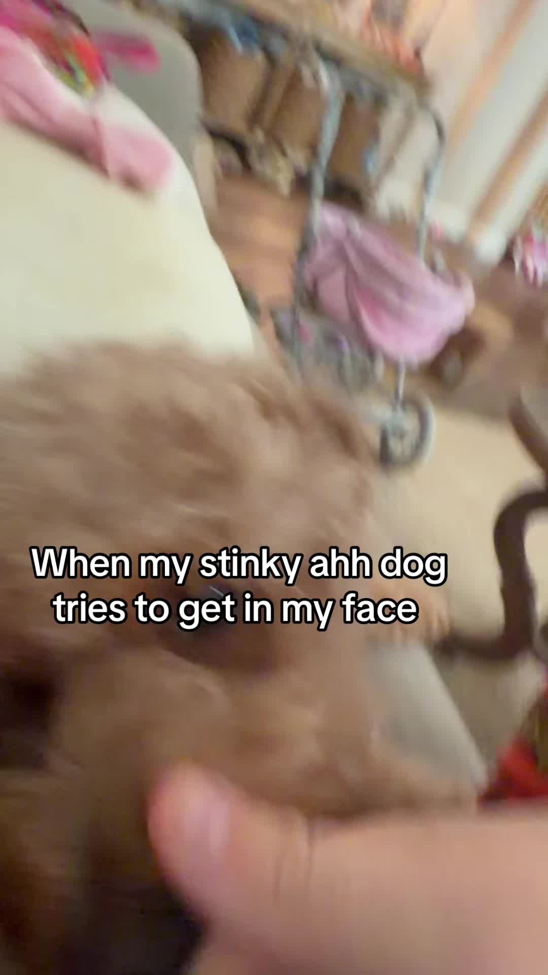 @Skid.Mark