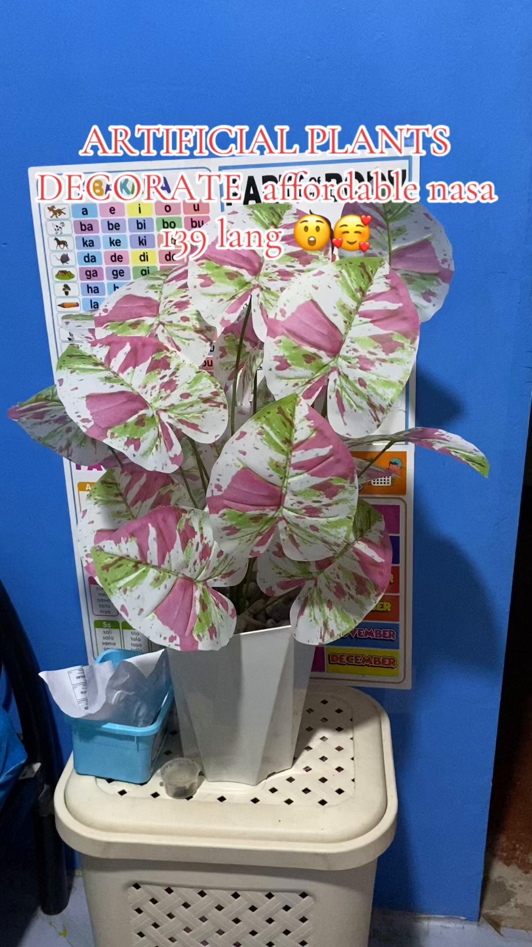 @Jholshop🛍️🛒💕