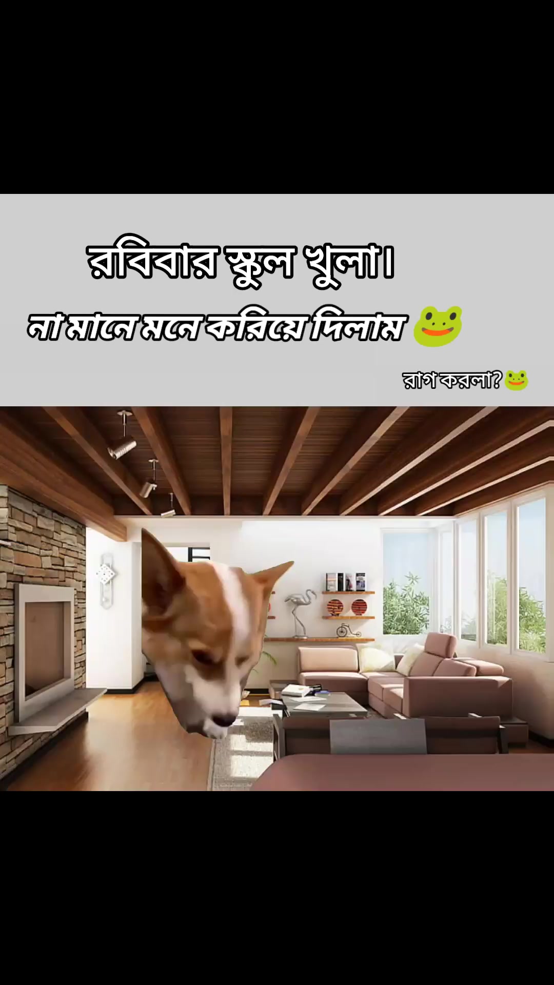 @RONOK MIRZA