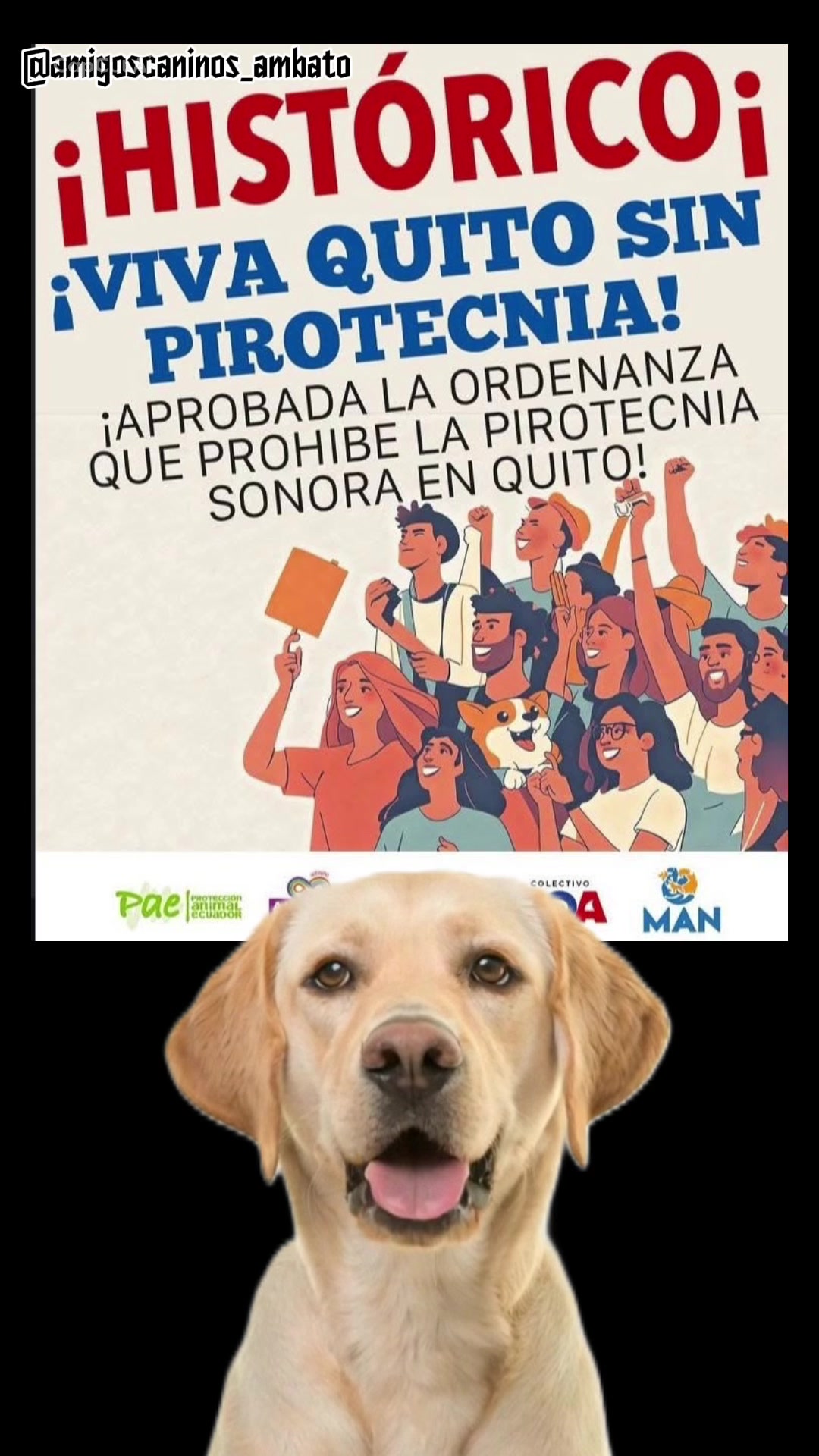 @Amigoscaninos_Ambato