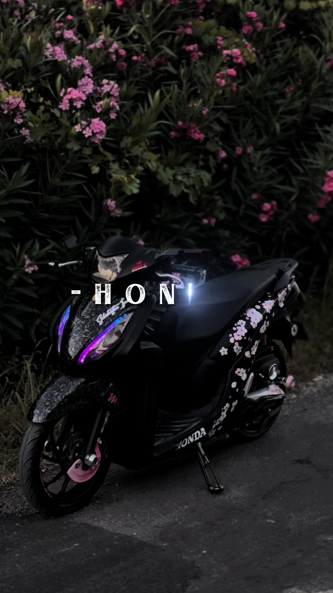 @𝐒𝐓.