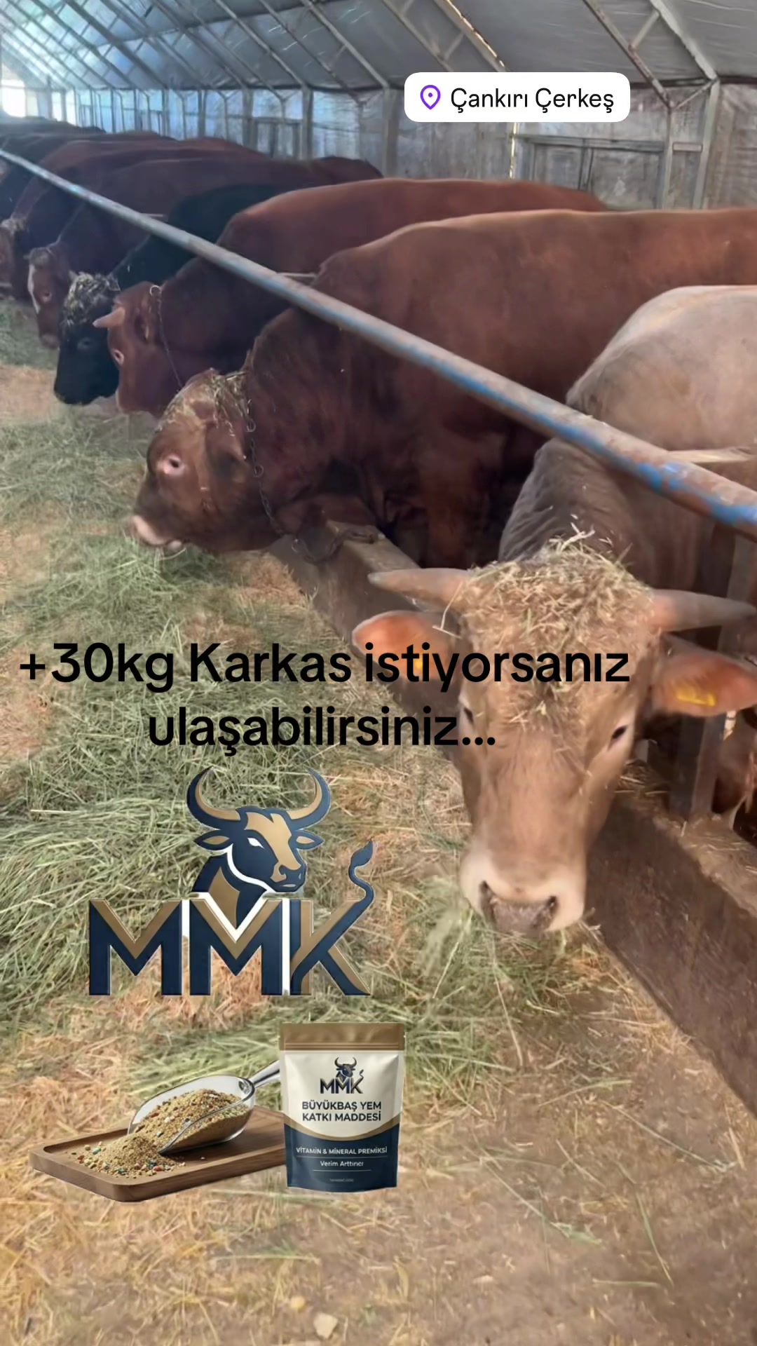 @KARTAL YEM KATKII
