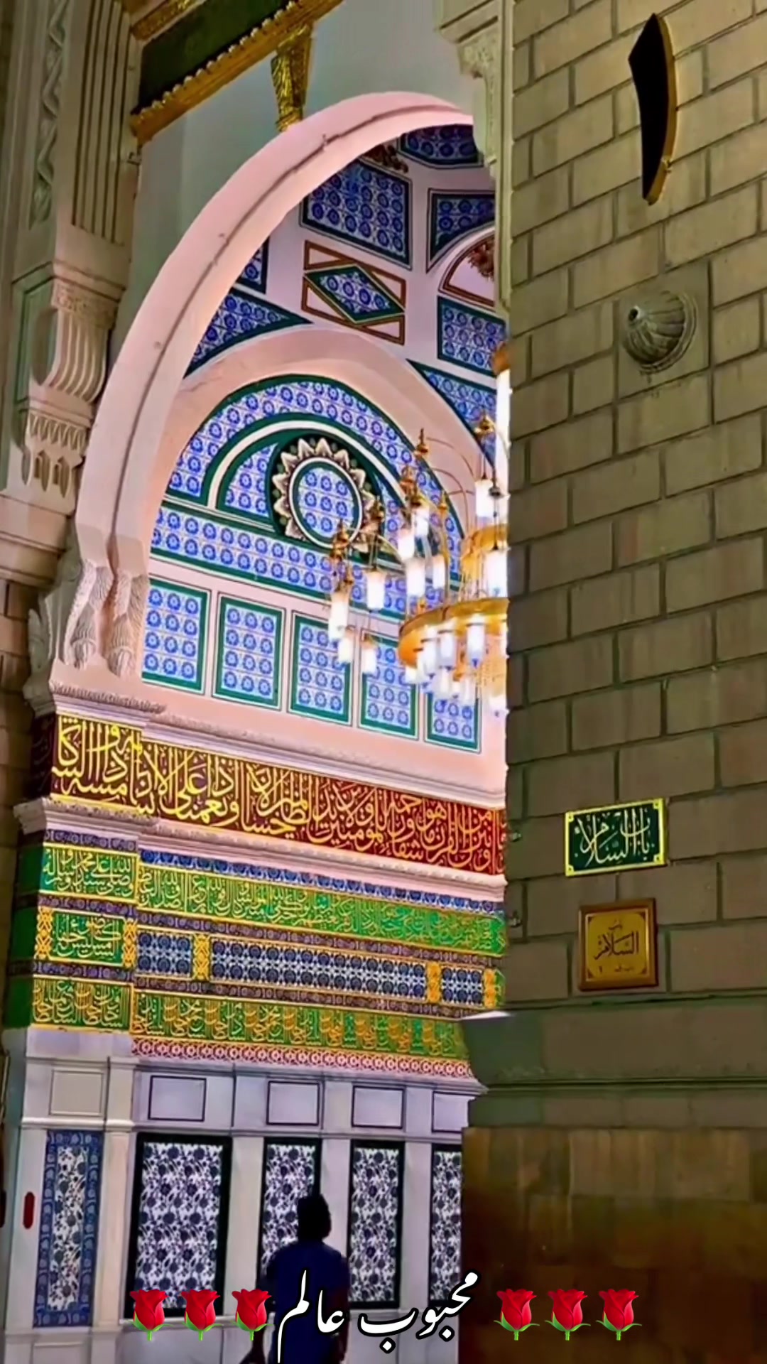 @محبوب عالم
