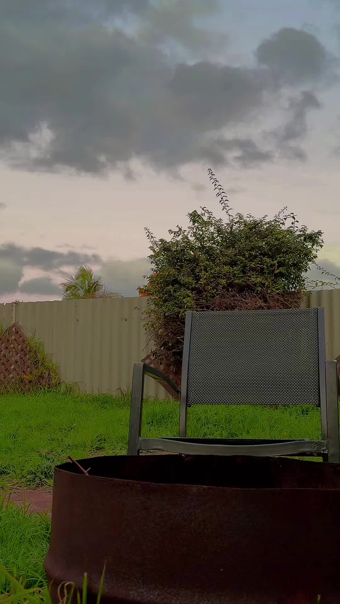 @🕷️🇦🇺🇵🇰
