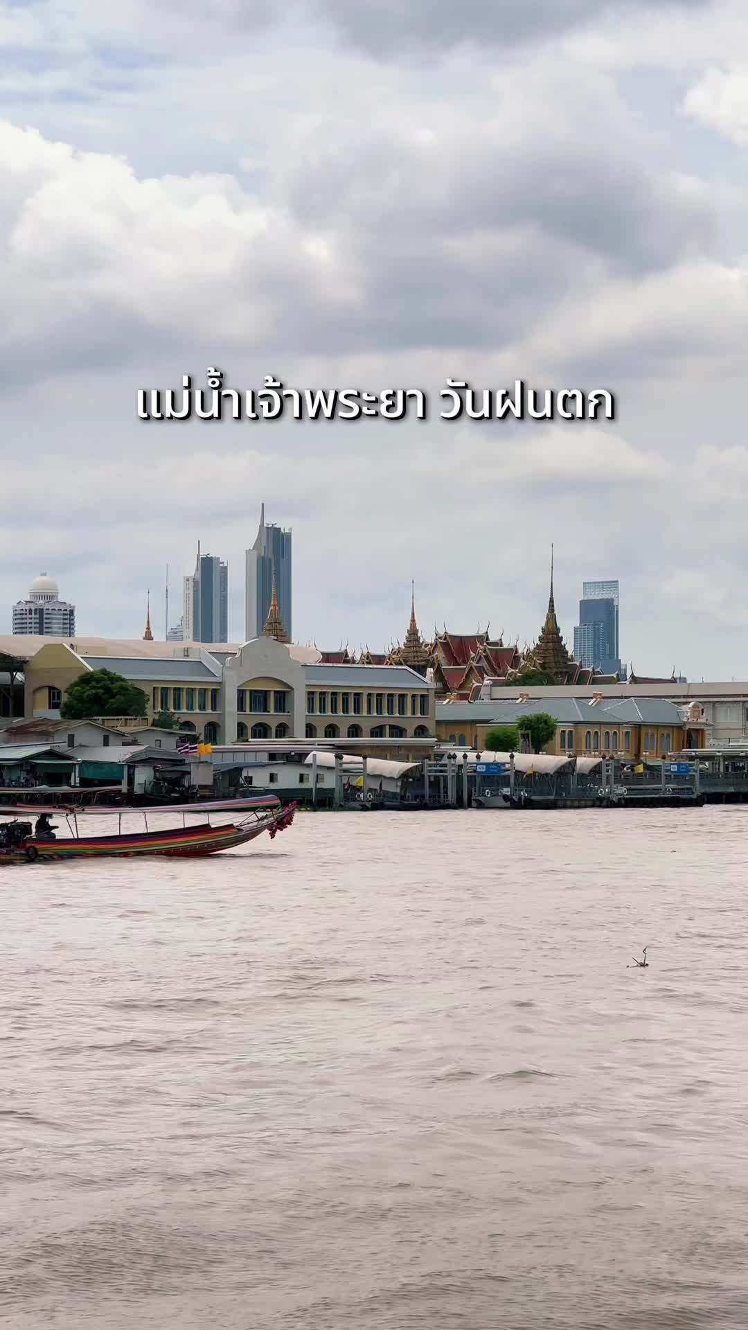 @ต้นอ้อที่ชอบรีวิว