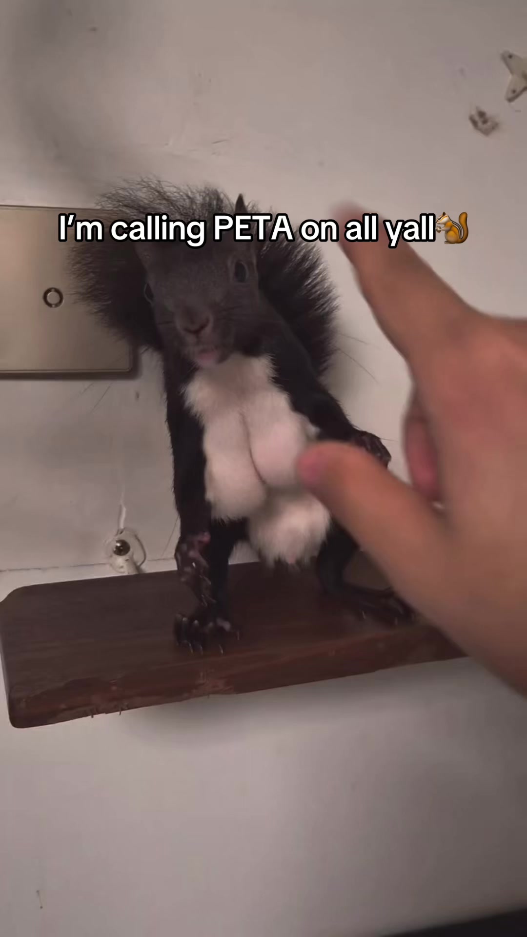 @lilredboytv