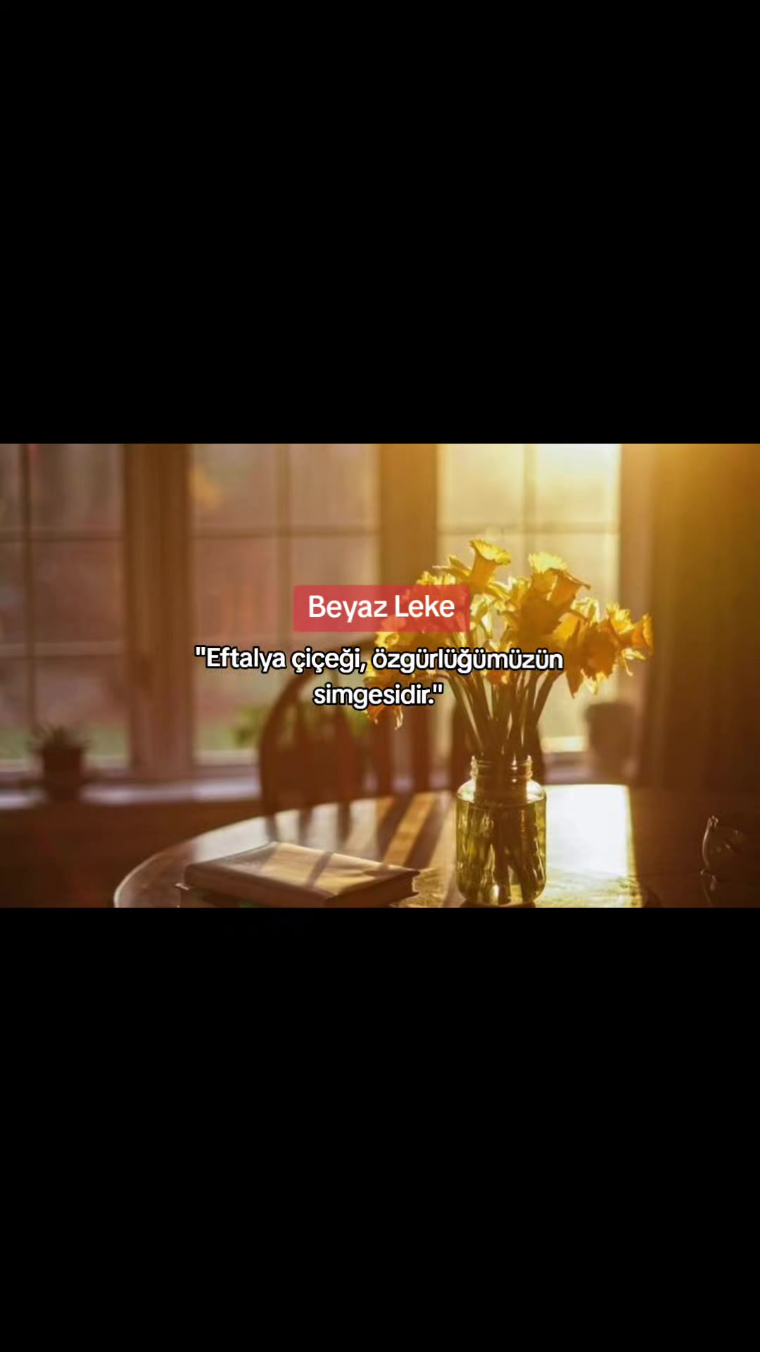 @🤍📚