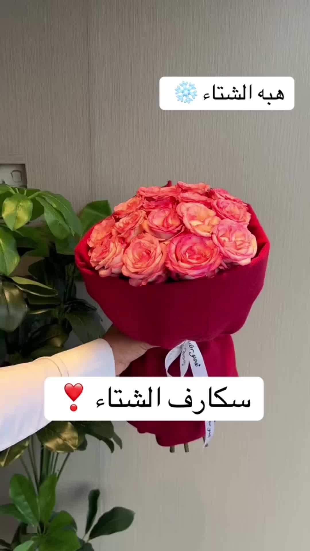 @هدايا الخبر