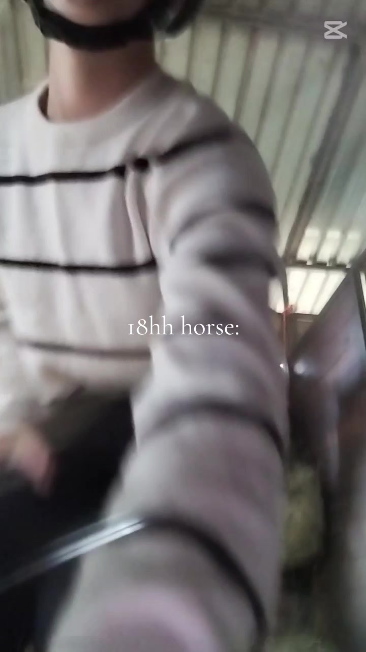 @equestrian