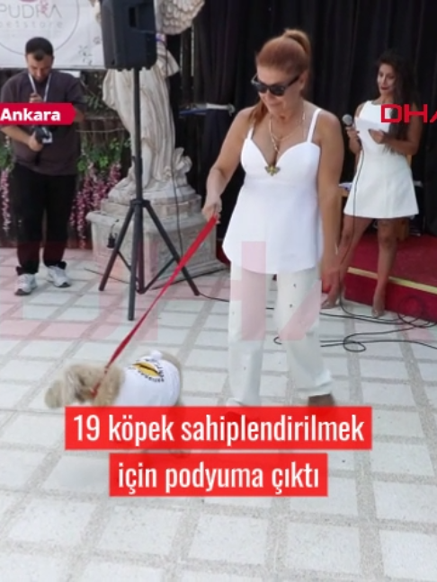 @Demirören Haber Ajansı