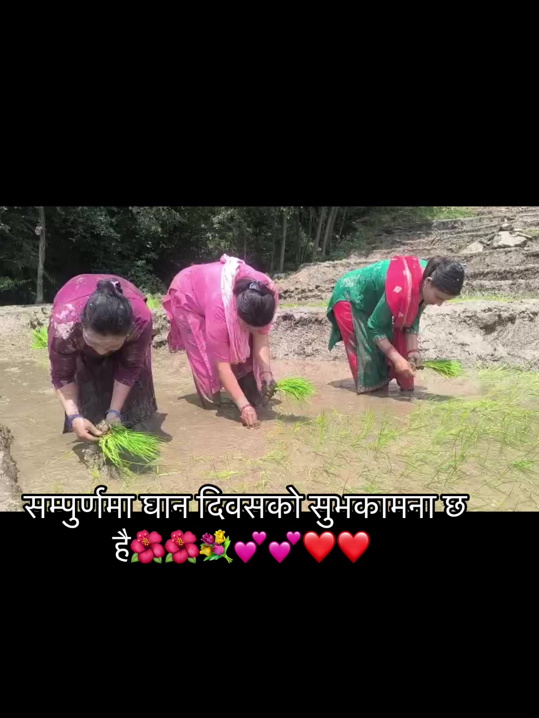 @mee.......nuu❣️Rijal 👩&zwj;🍳