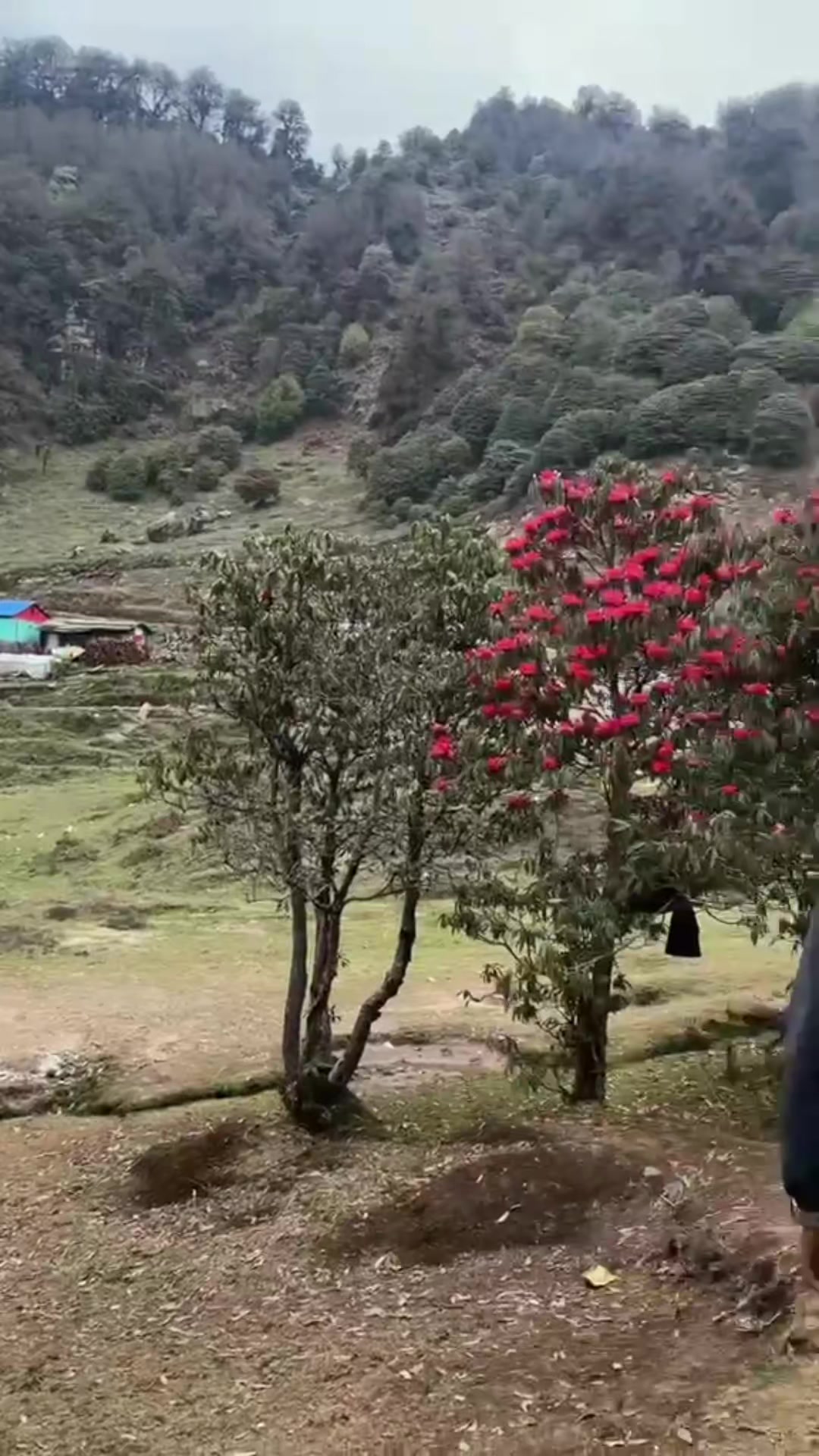 @Dharmendra karki