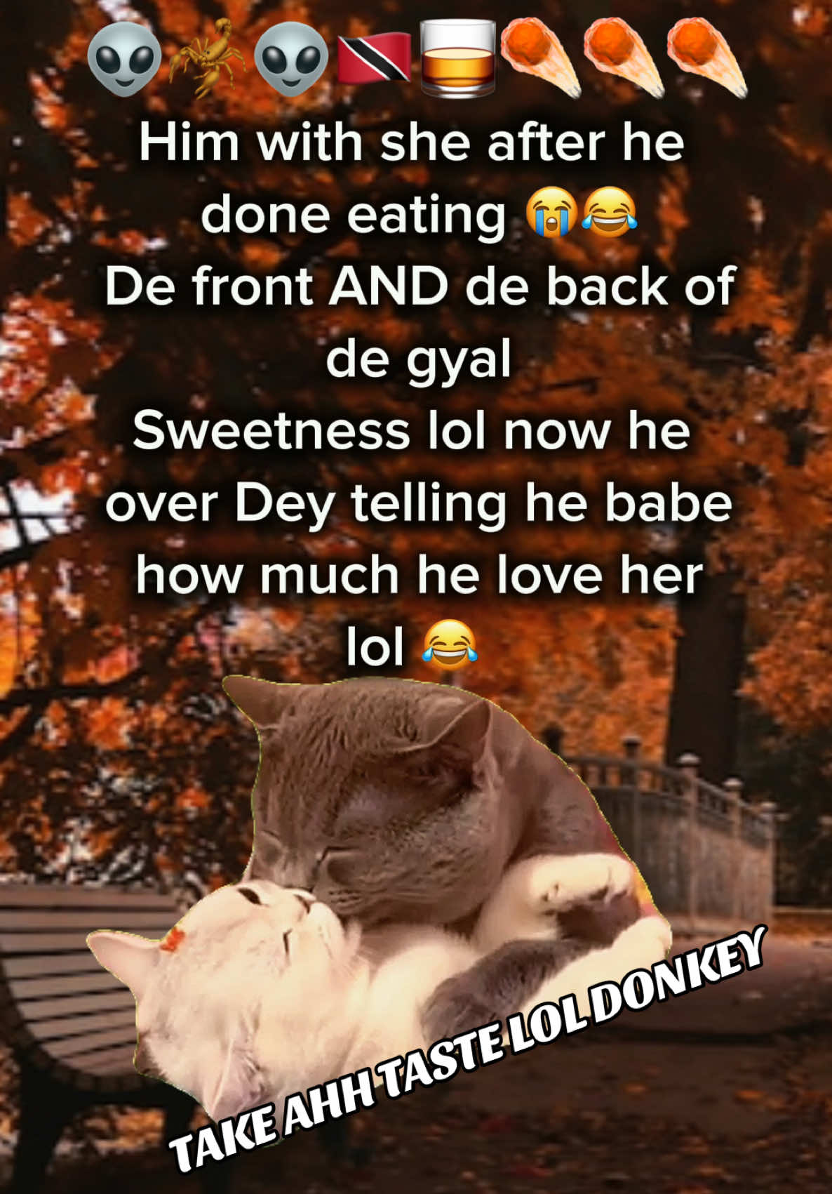 @ICEBUNNY
