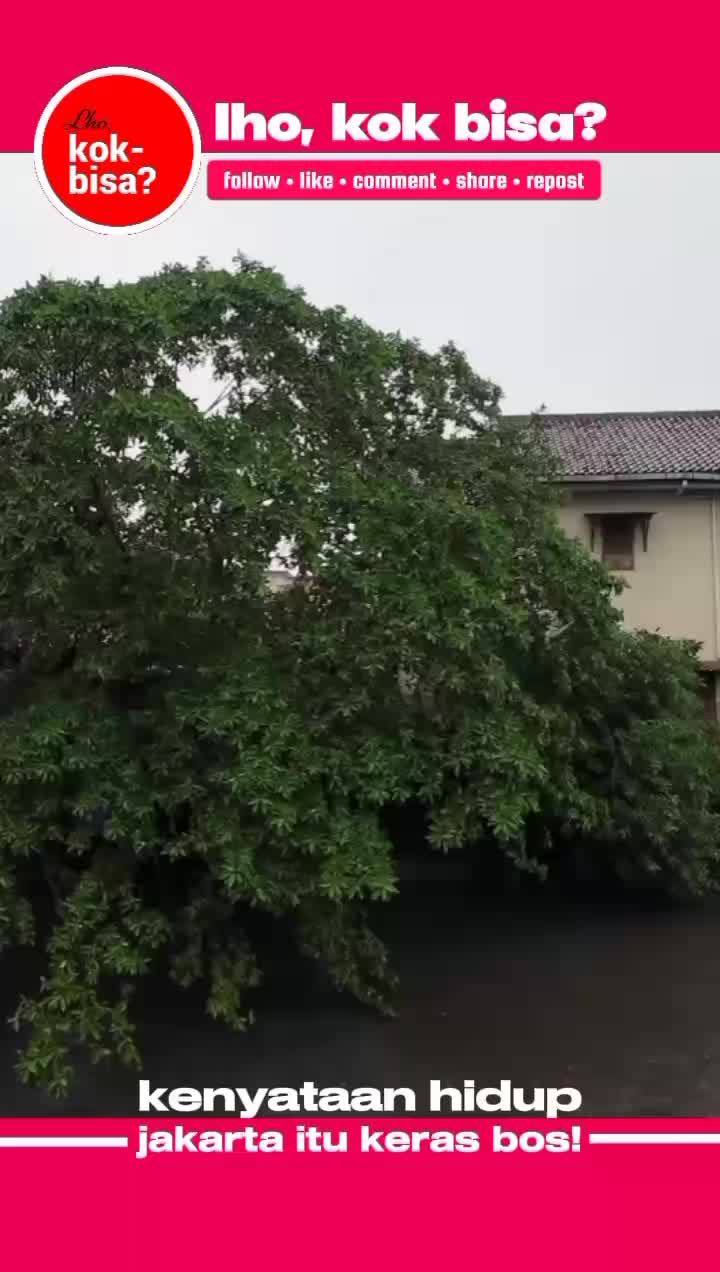 @Lho, Kok Bisa? 🤔
