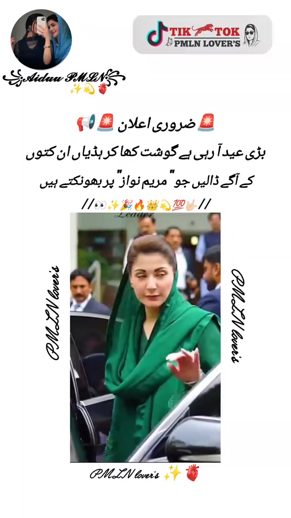 @Bolly4uhd