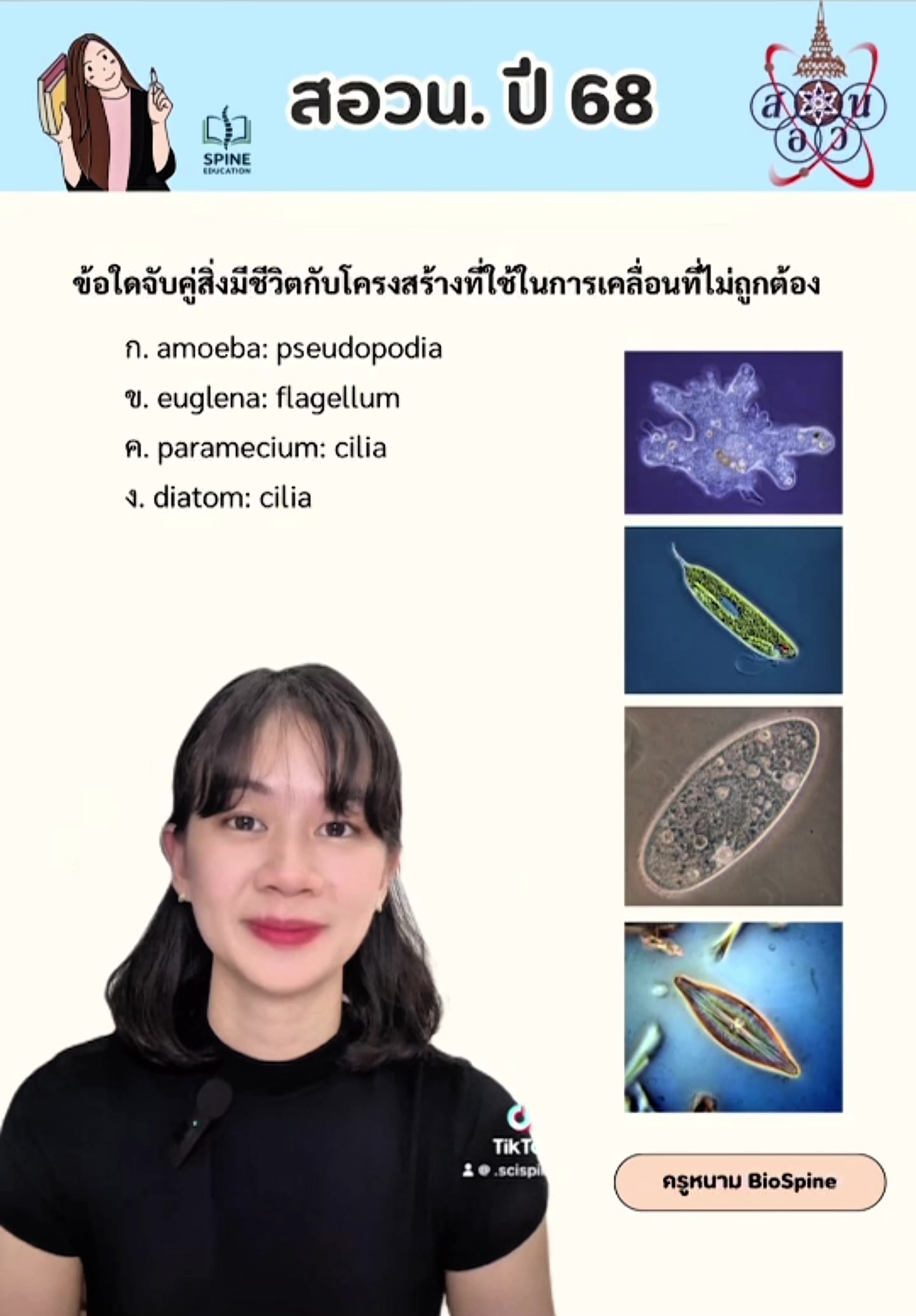 @Biospine by ครูหนาม