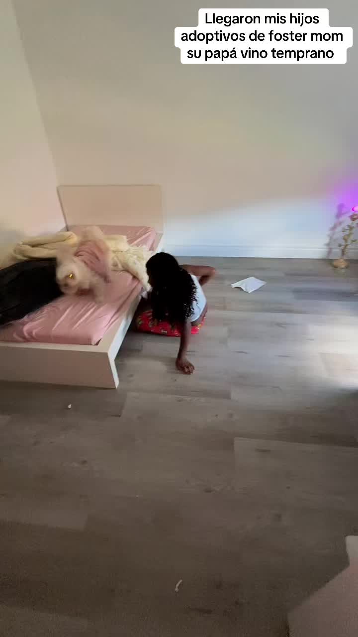 @lalalopez
