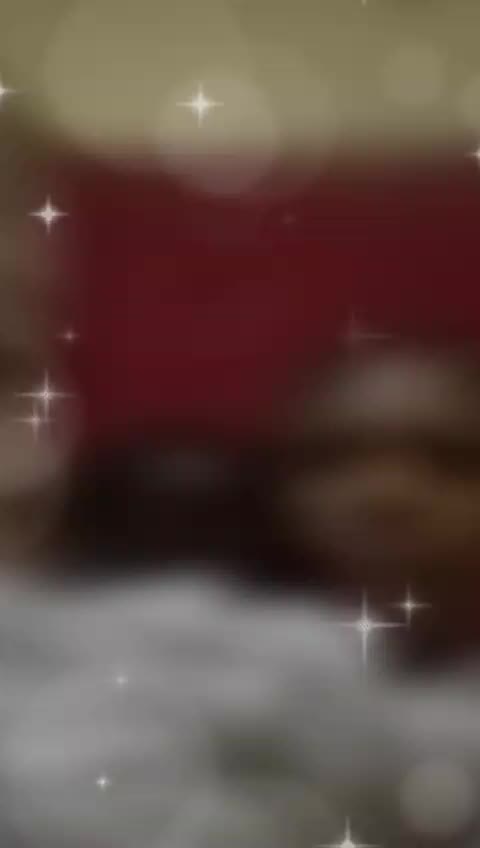 @user4873858129013 mwari