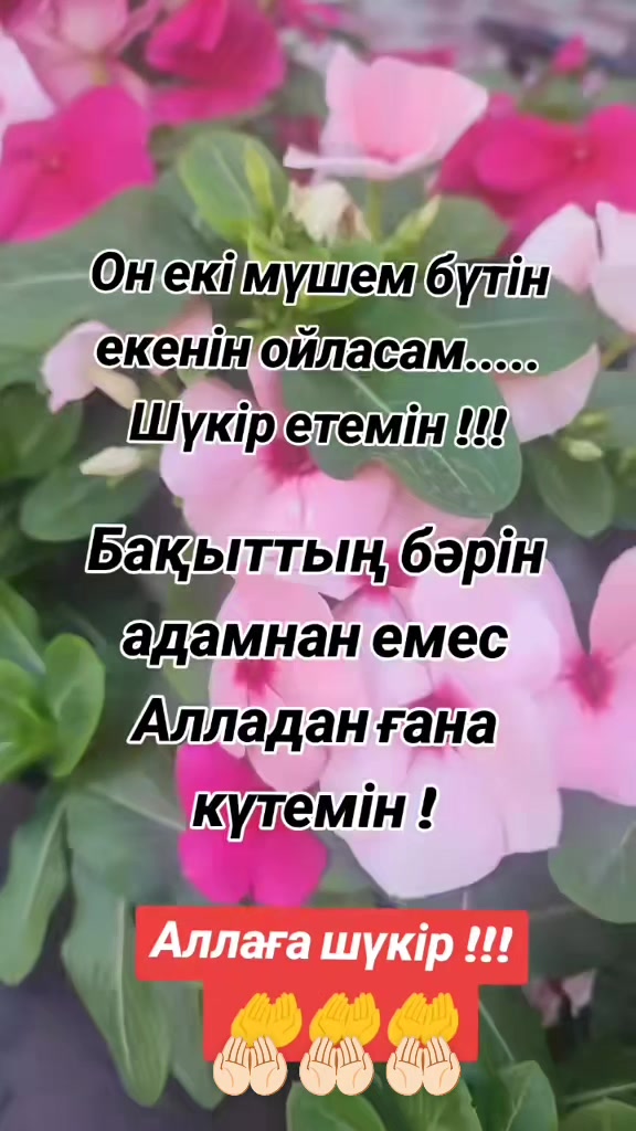 @Микоша_ 🇰🇿🇰🇿🇰🇿