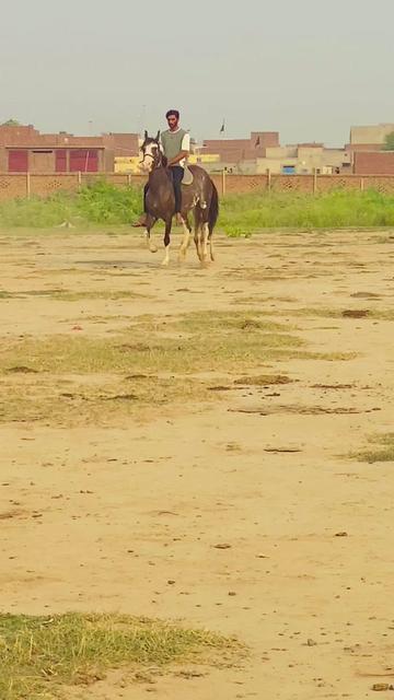 @Rai Usman