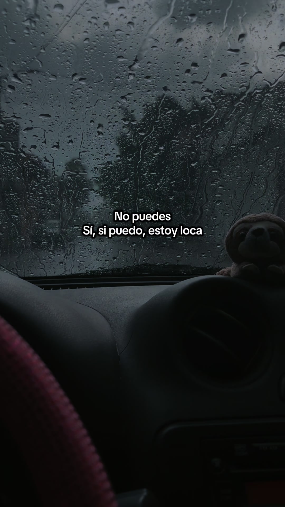 @Moni Cid
