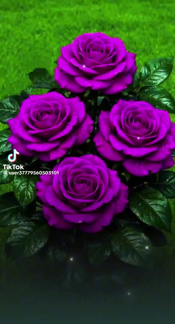 @Rahul Kamble