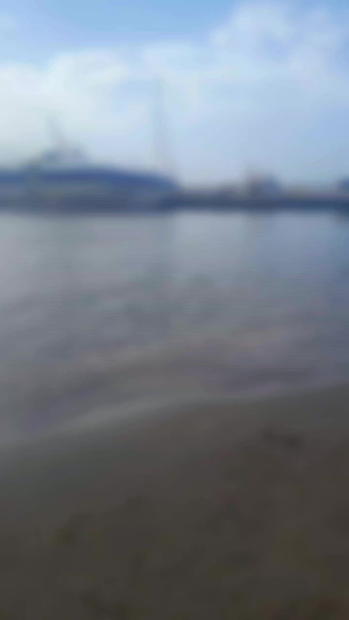 @warda chiraz