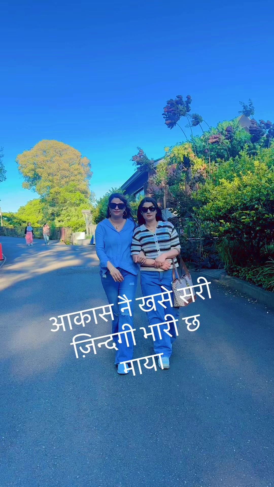 @Dipa dipesh